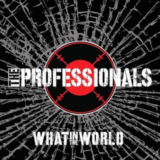 The Professionals What In The World LP Review