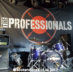 The Professionals / cookandjones.co.uk / www.sex-pistols.net 2017