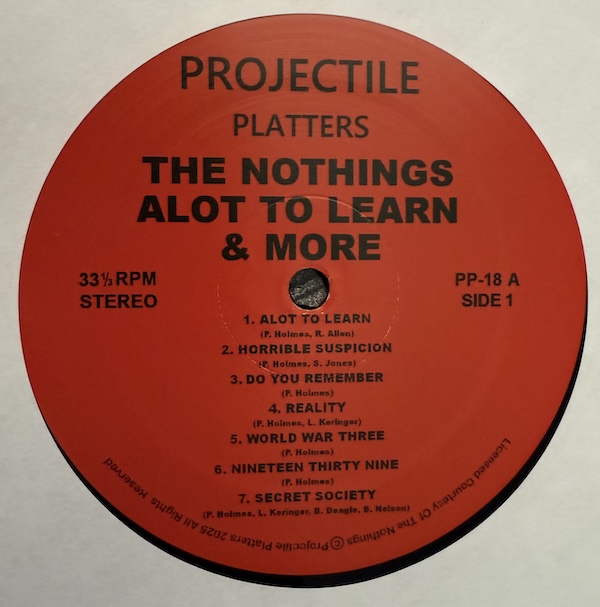 The Nothings: A Lot To Learn 2025